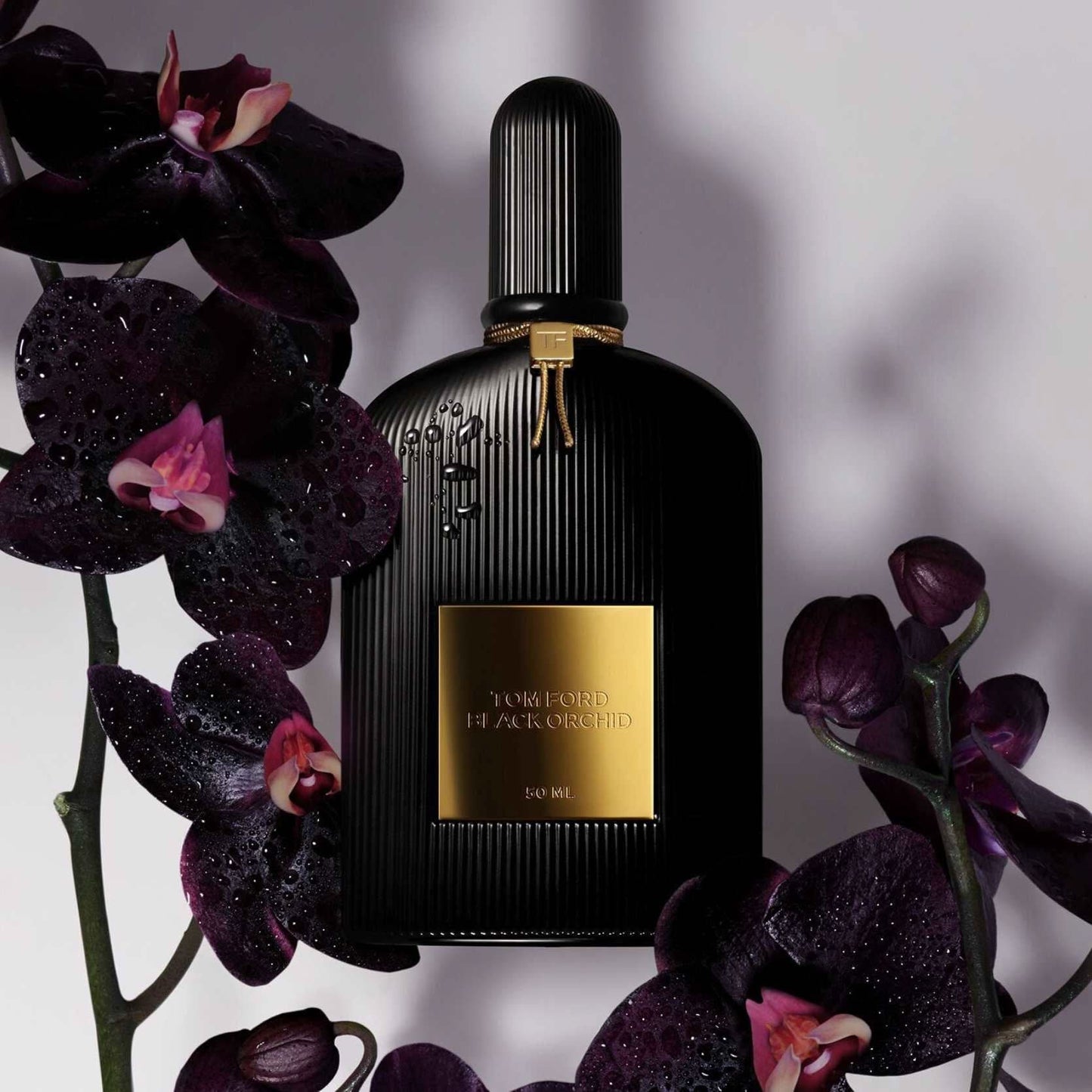 Black Orchid Eau De Parfum Tom Ford Black Orchid Eau De Parfum is a luxurious and enigmatic fragrance that captures the essence of sensuality and sophistication. This scent, from the iconic Tom Ford collection, is celebrated for its deep, rich composition